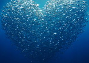 Herz aus Fischen im Meer