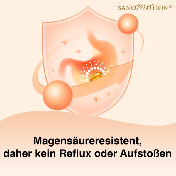 Herzstücks Magensäureresistenz kein Reflux oder Aufstoßen
