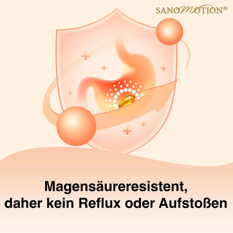 Herzstücks Magensäureresistenz kein Reflux oder Aufstoßen